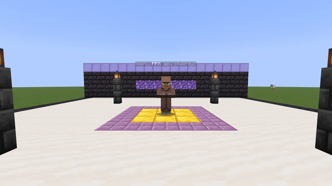 NPC coinflipa na spawnie
